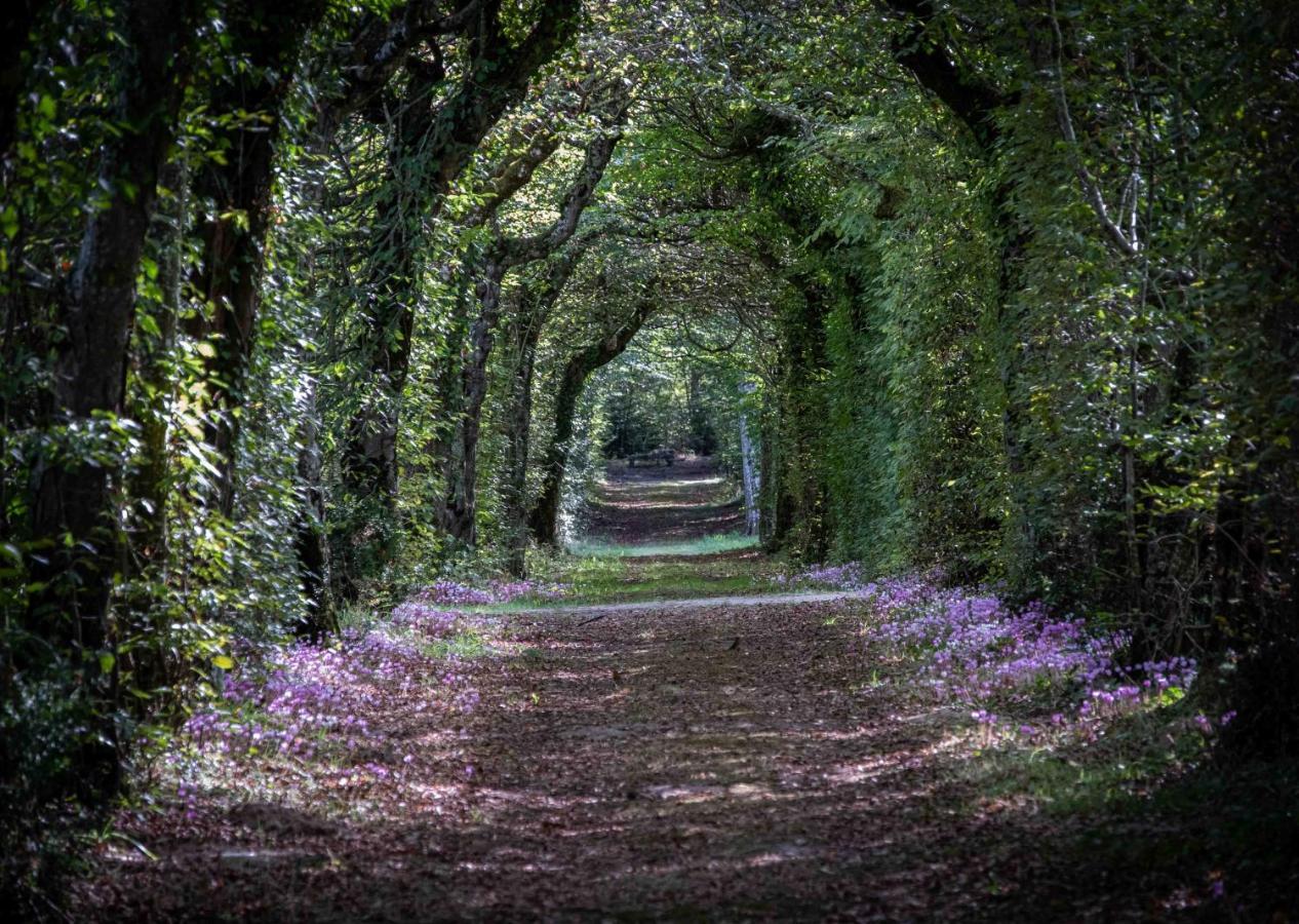 Hotel La Borde en Sologne Château&Spa à Vernou-en-Sologne Extérieur photo